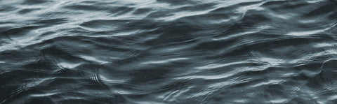 Featured in Lake