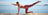 Women's Yoga Collection
